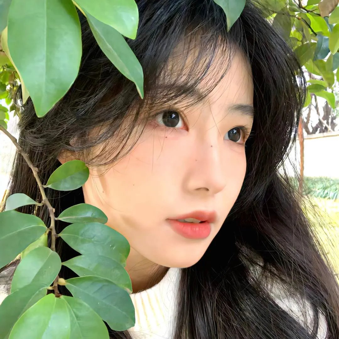 当树倒下
