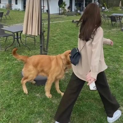 马孔多