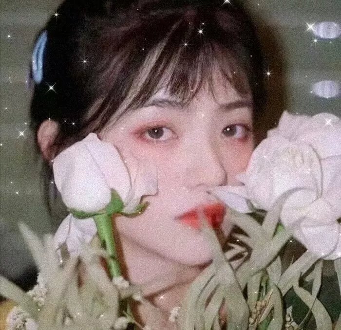 棕榈滩的故事